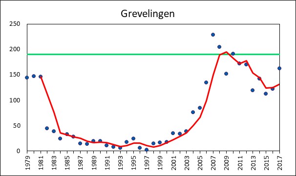 Aantal dwergsterns gedurende de periode 1979-2017in het Grevelingenmeer.