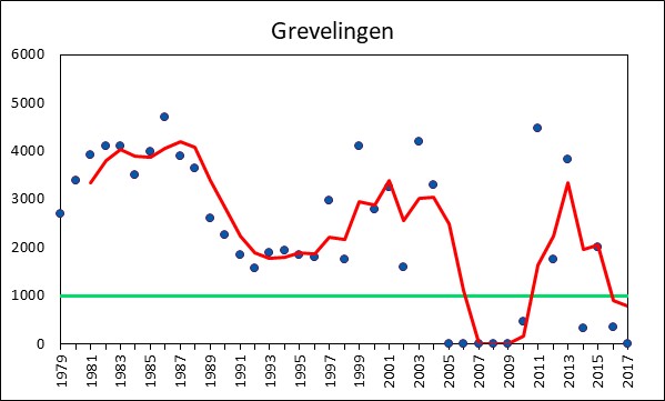 Aantal Grote sterns gedurende de periode 1979-2017 in het Grevelingenmeer.