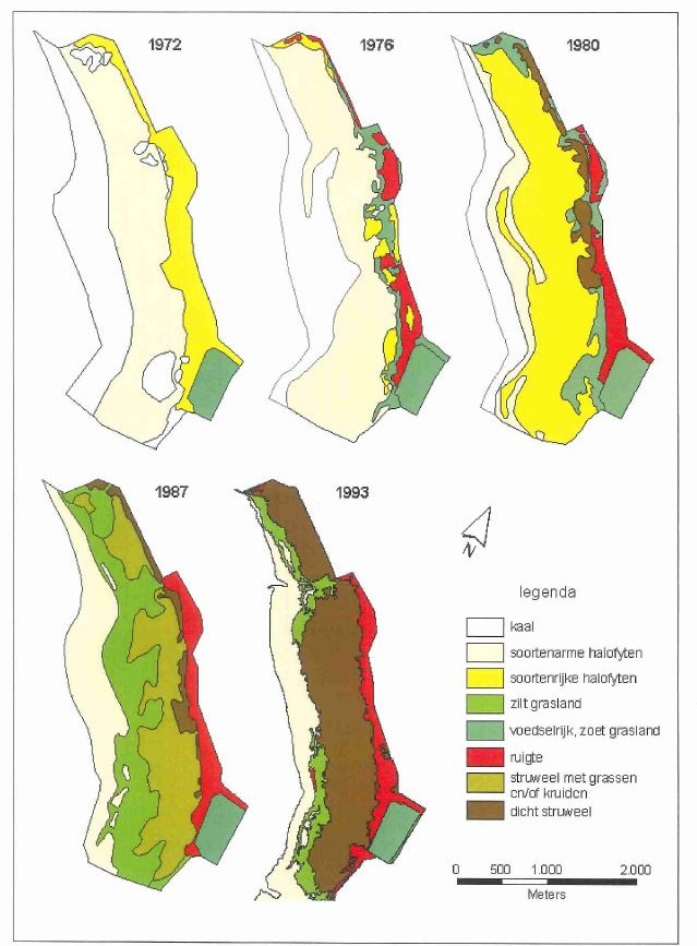 Vegetatieontwikkeling op de Slikken van Flakkee Noord in de periode 1972-1993 (Uit: Van der Pluijm 1993).